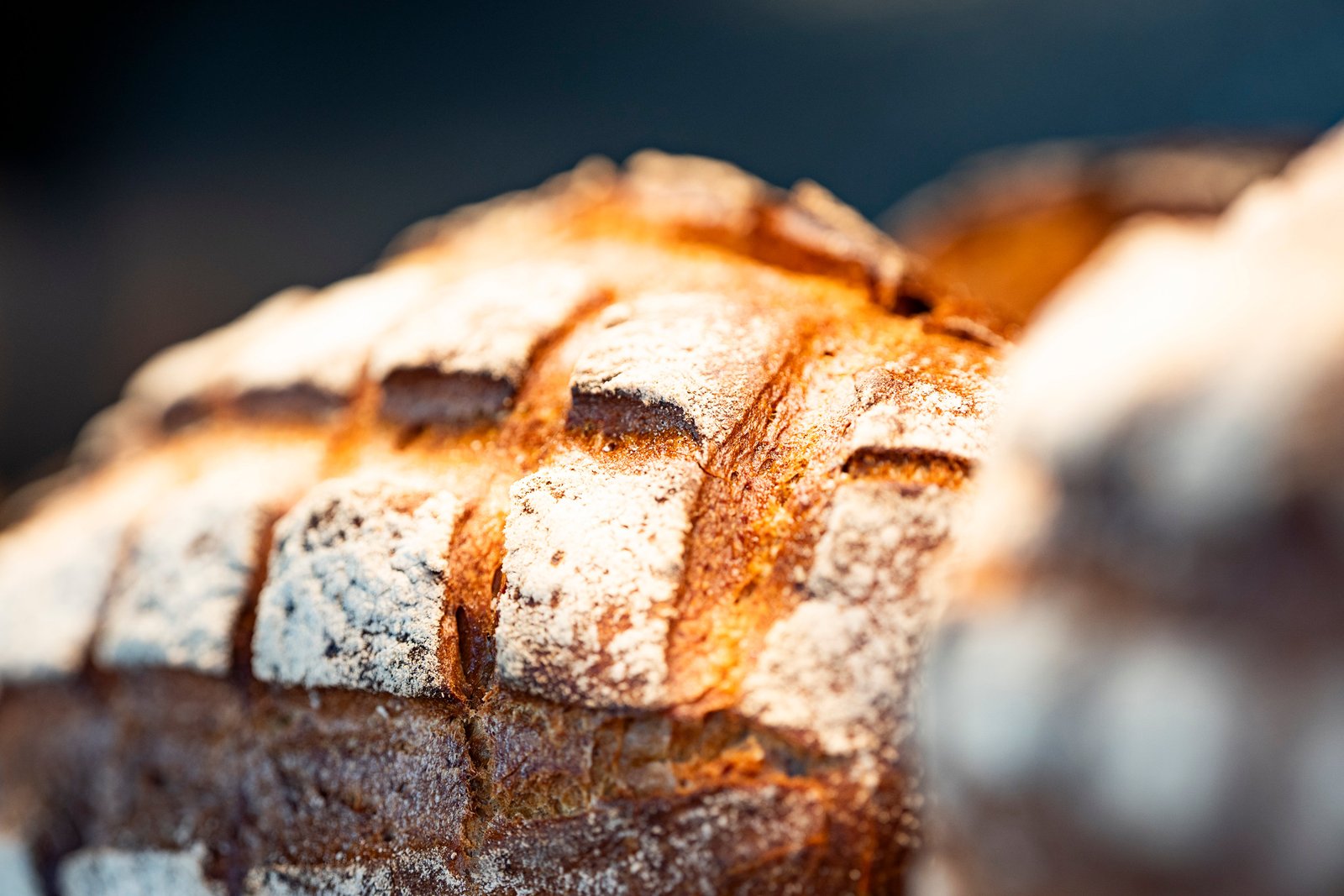 Handwerklich gebackenes Brot mit goldbrauner Kruste – Bäckerei Brotzeit Rostock